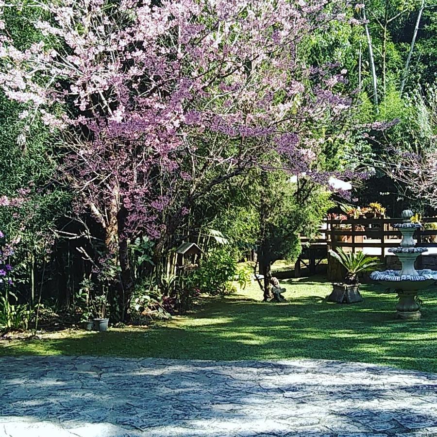 Havila Arara Azul ノバ・フリブルゴ エクステリア 写真